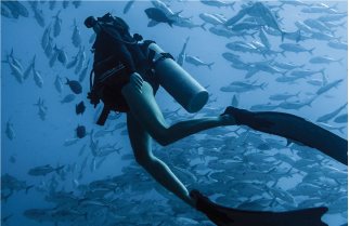 Cabo Pulmo marine reserve