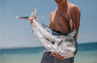 Inshore fishing along the East Cape