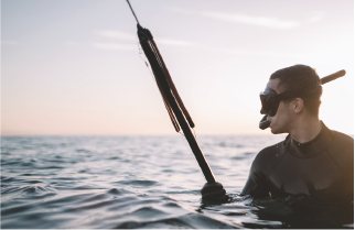 Spearfishing in the Sea of Cortez